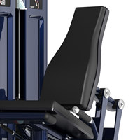Équipement de fitness : Poids pour machine d'extension des jambes multifonctionnelle, idéal pour l'entraînement professionnel en salle de sport