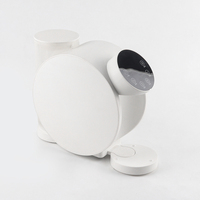 Mini refroidisseur d'eau portable de bureau, pour la maison et le bureau, 3 secondes d'ébouillante instantanée, machine d'ébouillante d'eau potable directe intelligente