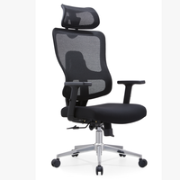 Chaise de conférence en maille plastique Guangdong, chaise de bureau simple, chaise pour personnel, chaise d'ordinateur, confortable, réglable en hauteur, en forme d'arche