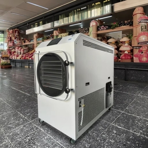 20kg Freeze Dryer Cheap Lyophilizer Freeze Dried Machine 40Kg Vacuum Freeze Dryer - Product Image 2
