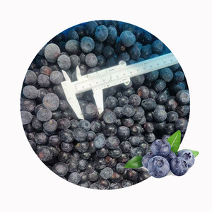 <span class=keywords><strong>Myrtilles</strong></span> <span class=keywords><strong>surgelées</strong></span> de qualité supérieure, directement de l'usine |   IQF Propre et Sûr |   Fournisseur certifié HACCP, ISO pour l'exportation - Product Image 6