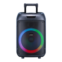 Haut-parleur karaoké portable sans fil pour l'extérieur radio FM basse lumière LED DJ Party BT woofer actif fort chariot Haut-parleur