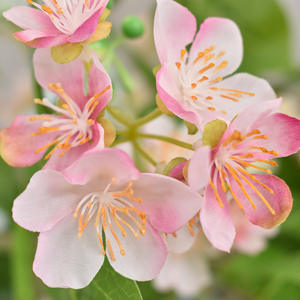 O-X963 Vente en gros <span class=keywords><strong>de</strong></span> branches <span class=keywords><strong>de</strong></span> cerisier à longue tige, fleurs <span class=keywords><strong>de</strong></span> prunier en soie <span class=keywords><strong>de</strong></span> haute qualité, fleurs <span class=keywords><strong>de</strong></span> pêche blanche, fleurs <span class=keywords><strong>de</strong></span> cerisier au toucher réel - Product Image 6