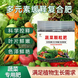 Engrais granulaire végétal 200g à libération lente pour plantes de jardin domestique - Product Image 5