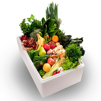 Boîte isotherme blanche en EPS écologique européenne, conteneur recyclable pour chaîne du froid, emballage léger, antibactérien, économique