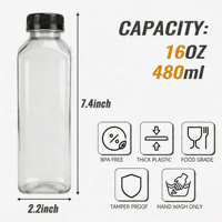 Bouteille en plastique de 480 ml pour jus de fruits avec bouchons noirs, étiquette, entonnoir et brosse pour l'emballage de boissons – Vente en gros