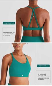 Soutien-gorge personnalisé solide soutien-gorge d'entraînement de gymnastique active de yoga vêtements de sport push-up soutien-gorge de sport pour femmes fournisseur Ropa Deportiva Mujer - Product Image 3