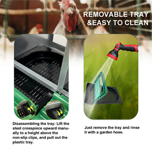 Nido Metálico para Gallinas Ponedoras de Granja Libre, Caja de Nidificación para Gallinas, Gallinero - Product Image 4