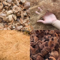 Automatische 600 Kg/u Kokosnoot Crusher Machine Kokosnoot Shredder Machine Palmfruit Kokosnoot Shredder Machine