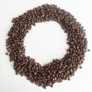 Bulk High Protein Trocken futter für Hunde-Schmackhaftes Rindfleisch für Groß dänen (Extra große Rassen, ISO) - Product Image 1