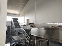 Automatische Mango Sap Extractie & Verwerkingslijn