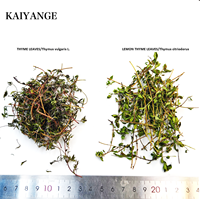 KAIYANGE Prix d'usine Feuilles de thym naturelles séchées Thym français Thymus Vulgaris L. Éclaircissant pour la peau Épices Assaisonnement Tisane