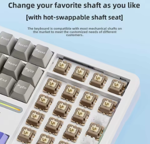 aula F108 Wireless RGB Backlit Keyboard Programmable PC Gaming Mechanical Full Size 108Keys Anti-Ghosting Multimedia Win-Lock - Product Image 5