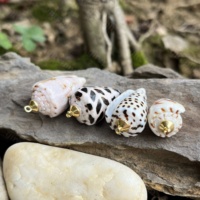 Coquillages naturels en vrac Conus Ebraeus (coquilles de punaises hébraïques) – Pendentifs en coquillages véritables pour la fabrication de bijoux hawaïens DIY