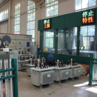 Transformateur de puissance immergé dans l'huile S13 800-1000 kVA, dédié à la mise à niveau des réseaux électriques ruraux, efficacité énergétique de niveau 1, extérieur ONAN