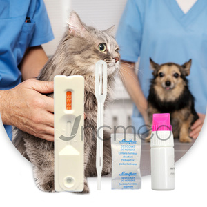 FIV <span class=keywords><strong>Ab</strong></span> 고양이 면역 결핍 바이러스 항체 고양이 면역 결핍 바이러스 항체 - Product Image 1