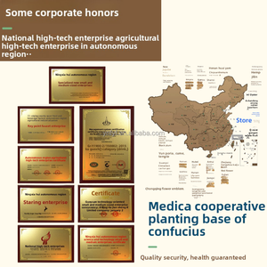 純天然腎臓強壮漢方飲料 シスタンケ植物エキス濃縮健康食品サプリメント - Product Image 5