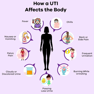 Suplemento de D-Manosa en Polvo para la Salud del Tracto Urinario, Polvo de Arándano Orgánico Sin OMG, Paquetes de Polvo para el Alivio de las Infecciones Urinarias - Product Image 5