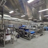 Turnkey tropische fruitverwerkingslijn voor passievrucht, guave, ananas: automatisch wassen, extraheren, UHT-vullen, compleet.