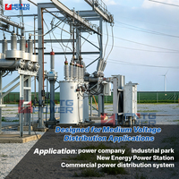 Régulateur de tension monophasé 13,8 kV 22 kV 200 A 400 A pour charges industrielles, stabilisation de la tension et amélioration du réseau de distribution