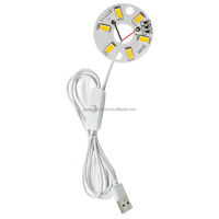 Lámpara Nocturna LED Mini de 5V Personalizable, Chip LED CCT Blanco, Diseño Moderno, Incluye Cable USB, Placas de Circuito Personalizadas, Luces Nocturnas DIY