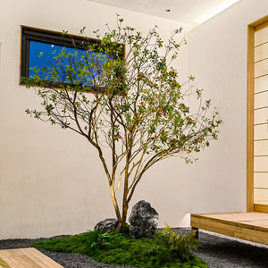 <span class=keywords><strong>Albero</strong></span> di Ulivo Artificiale da Interno/Esterno, Resistente ai Raggi UV, Ecologico, Bionico, Verde Simulato, per Vetrine - Product Image 5