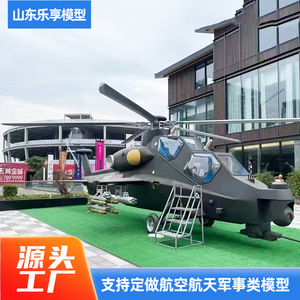 Fiberglass Airplane Model Large Size For Exhibition And <b>Film</b> Props Outdoor Commercial Use - Product Image 3