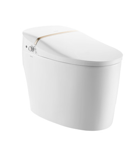 ราคาสุขภัณฑ์อัจฉริยะแบบไร้ถัง Arrow Sanitary Ware, ผู้ผลิตสุขภัณฑ์, โถสุขภัณฑ์ทรงกลม - Product Image 1