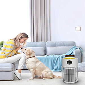 Nieuw Binnen Huisdier Luchtreiniger, Hepa Filter Luchtreiniger Voor Huisdier Haar & Geur - Product Image 2