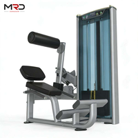 Équipement de musculation en acier réglable de haute qualité pour l'entraînement des abdominaux et des muscles du dos, machines d'exercice multifonctions pour le renforcement du tronc