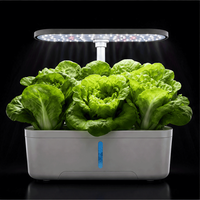 Machine de plantation hydroponique intelligente à 12 trous pour plantes vivantes