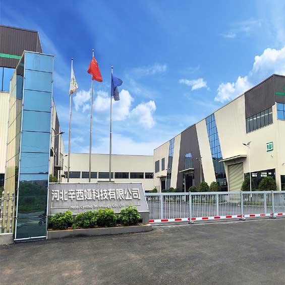 Hebei Cynthia Technology Co., Ltd. logo