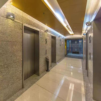 Ascenseur commercial moderne personnalisé SURAPID pour centres commerciaux, immeubles de bureaux, hôtels, établissements médicaux