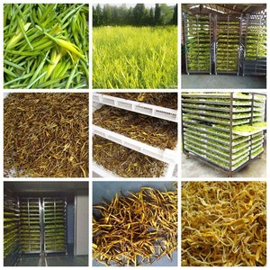 Nuovo basso consumo energetico essiccatore elettrico foraggio foraggio erba al pascolo Cattail erbe erba foglie di canapa asciugatrice - Product Image 2