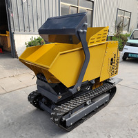 800kg Mini-Raupenkipper mit Hydraulischer Selbstbeladung, Motor und Getriebe