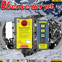 Télécommande radio pour grue industrielle à 2 boutons avec protection antichoc en plastique, résistance à l'eau, 24V DC
