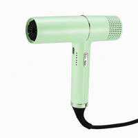 Sèche-cheveux ionique professionnel avec moteur BLDC 1650-1850W, pour salon, usage domestique, construction en plastique, hôtel, camping-car, concentrateur