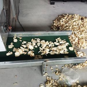 เครื่องอบแห้งมะพร้าวอบ<span class=keywords><strong>แห้ง</strong></span>อัตโนมัติ ด้วยระบบอบด้วยไฟ สำหรับอบกีวี สับปะรด กล้วย และผลไม้อื่นๆ พร้อมจำหน่าย - Product Image 4