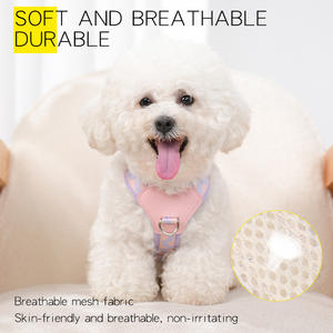 カスタマイズ可能なペット用ハーネスベスト、新デザイン、調節可能、丈夫なナイロン製、通気性のあるメッシュ、洗える、ファッショナブルなスタイル - Product Image 3