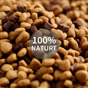 Aliments secs pour chiens OEM DOM OBM en gros, croquettes naturelles pour chiens, en vrac 15kg 20kg 50kg, aliments <span class=keywords><strong>premium</strong></span> pour grands chiens, pour tous les chiens de grande taille - Product Image 4