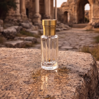 WANJING Bouteille en verre cosmétique personnalisée avec bouchon à vis en Zamac pour huile de parfum Attar Oud 2ml 3ml 6ml 12ml avec applicateur tampon estampé à chaud