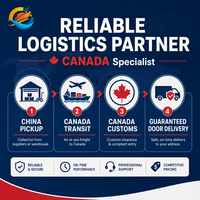 Partenaire logistique fiable pour une livraison garantie de Chine au Canada avec une expédition rapide, sûre, optimale et gratuite maintenant
