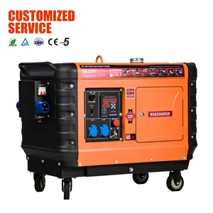 220 V 240 V 186 Fa Einphasiger Dieselgenerator 5000 Watt 5 Kva für Notfall mit hoher Qualität und Individuellheit von Bison Herstellung
