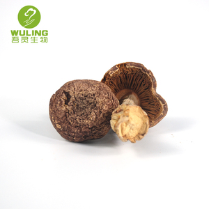 Fuente de la fábrica Agaricus Blazei Murrill Subrufescens Murill de polisacáridos Beta glucano polvo de extracto de - Product Image 2