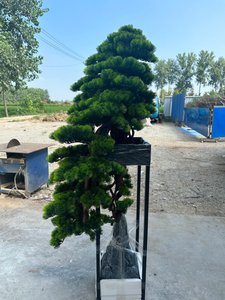Plantas Artificiales para Recibir Invitados, Pino Decorativo, Nuevo Bonsái de Pino de Estilo Chino, <span class=keywords><strong>2m</strong></span> de Altura, Ecológico, Duradero, Forjado - Product Image 4