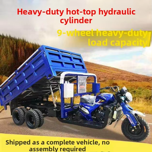 Tricycle <span class=keywords><strong>motorisé</strong></span> à essence 9 roues avec benne basculante et élévateur hydraulique pour le transport de marchandises, livraison depuis la Chine - Product Image 4