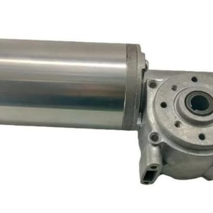 12V/24V Speed <b>Control</b> Small Smart Brush Induction Door Opening <b>Motor</b> Electric European-style Hollow Worm Gear DC Micro <b>Motor</b> - Product Image 2