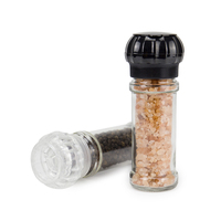 Meilleur prix manuel 100ML jetable sel poivre moulin en gros verre plastique salière et moulin pour usage domestique cuisine