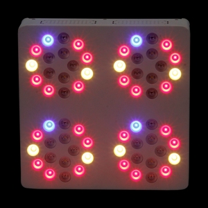 Đèn <span class=keywords><strong>LED</strong></span> trồng cây <span class=keywords><strong>Apollo</strong></span> công suất cao, nhà máy sản xuất đèn <span class=keywords><strong>LED</strong></span> trồng cây hoa - Product Image 6