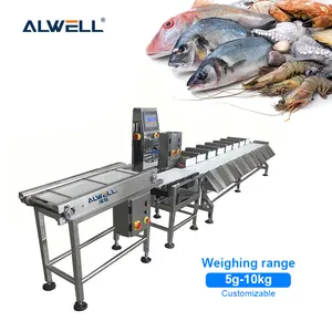 Automatic Weight Classifier Seafood Frozen Fish Sea Cucumber Lobster Abalone Fruit Box Grading Sorting Machine Made in China